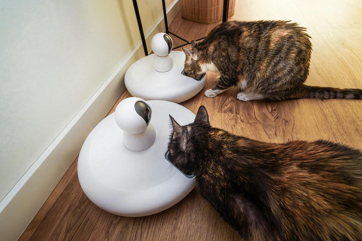 Two cats eating from automatic pet feeders.