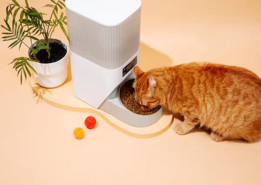 A cat eating from its feeder