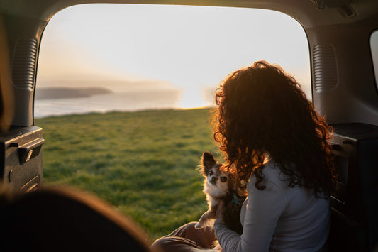 A lady and her pet traveling