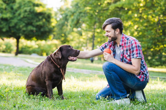 A man playing with his dog