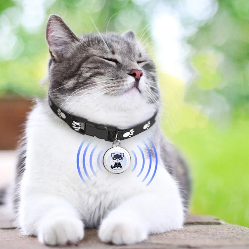 Eco-Friendly Pet GPS