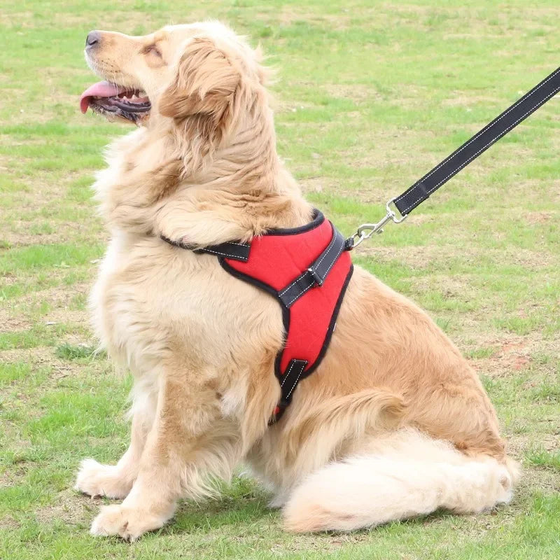 Eco-Friendly Pet Harness