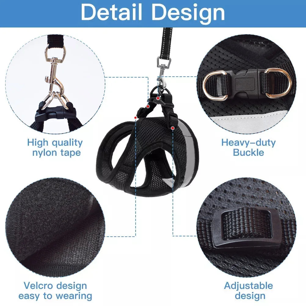 Cat Harness design