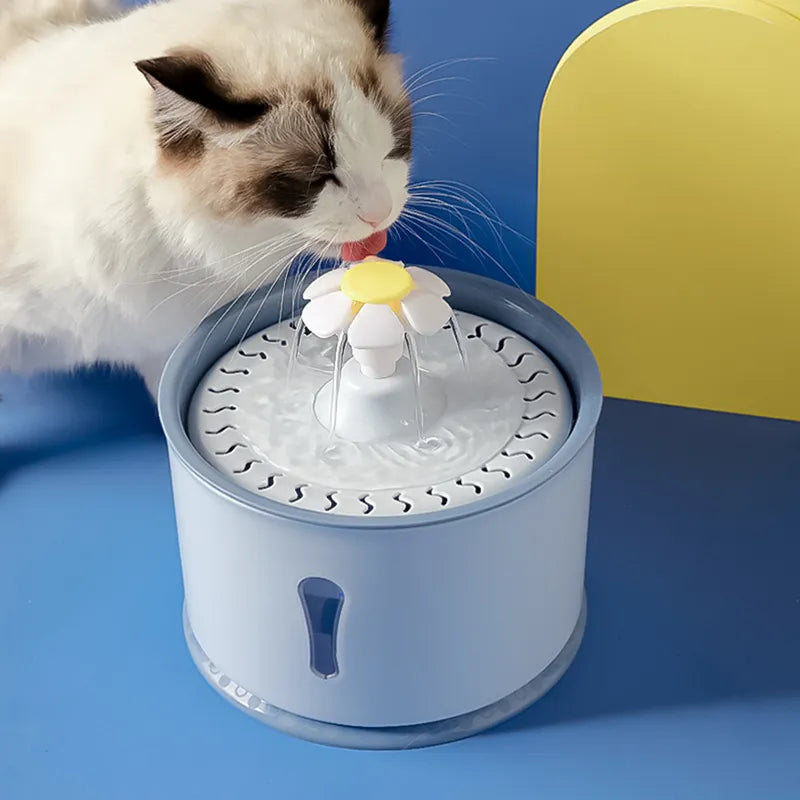 PET FEEDER