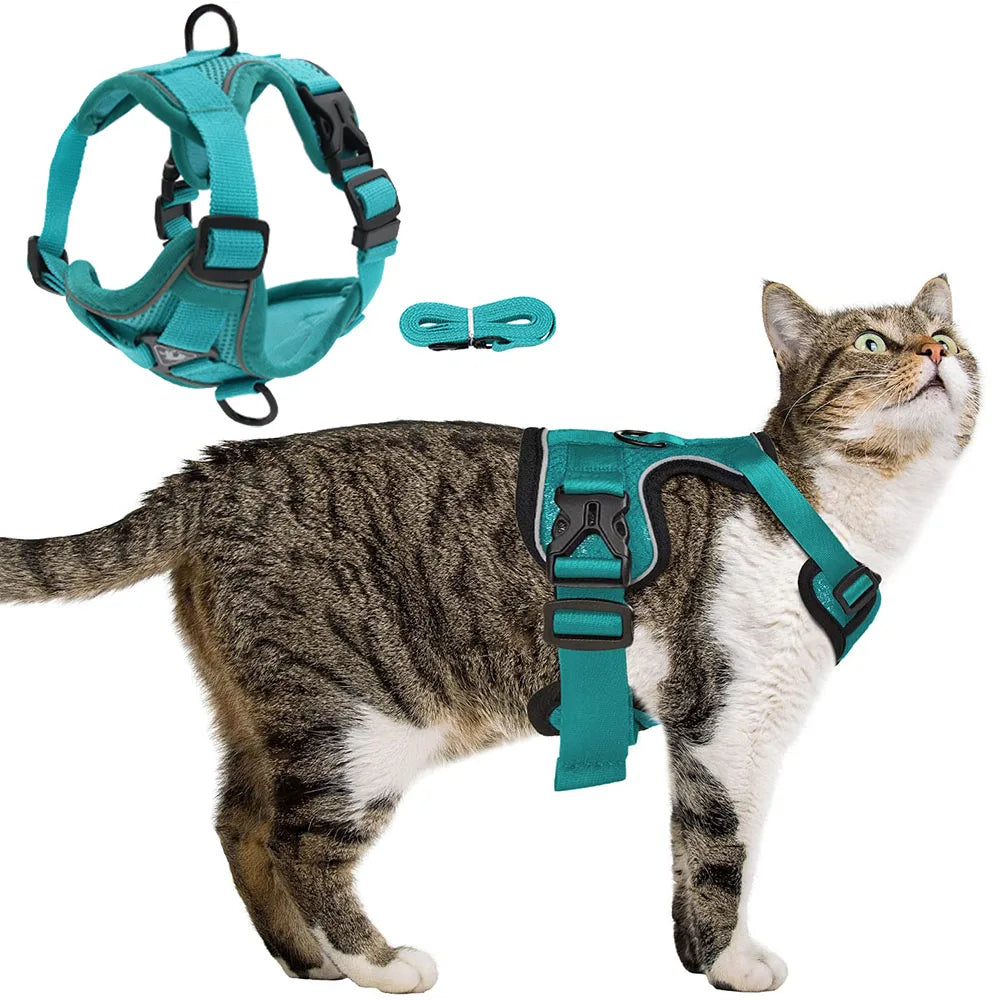 Dog Harness