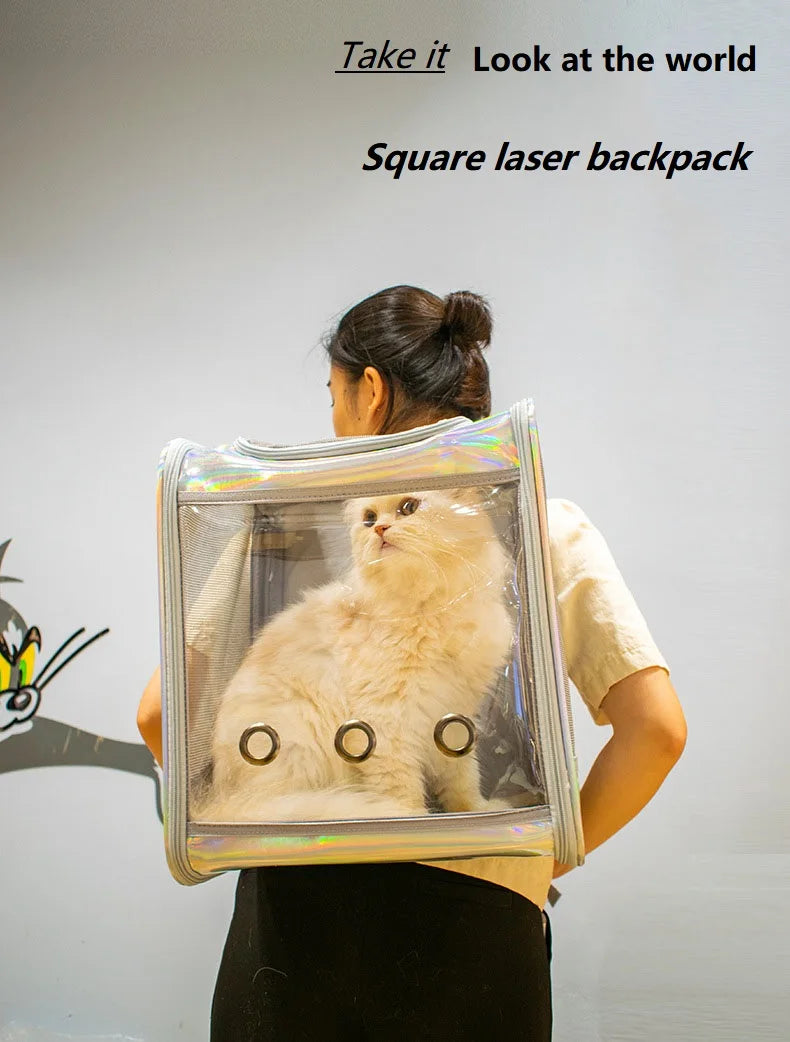 Eco-Friendly Backpack Breathable Travel Outdoor Shoulder Bag Portable Transparent Carrying Small Pet Carrier