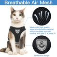 Lataa kuva gallerian katseluohjelmaan, Breathable Cat Harness
