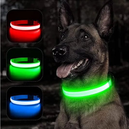 Flashing Rechargeable Collar