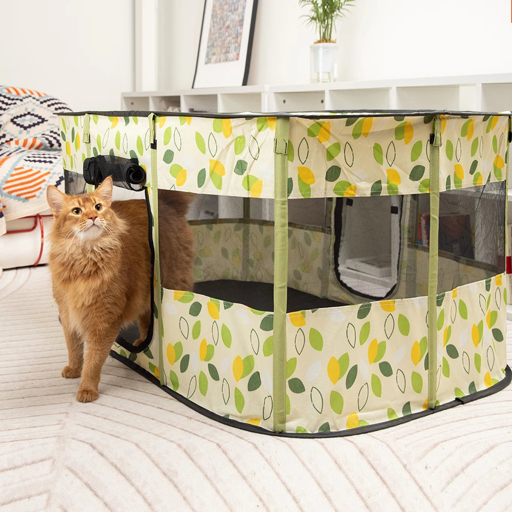 New Indoor Folding Tent Pet House