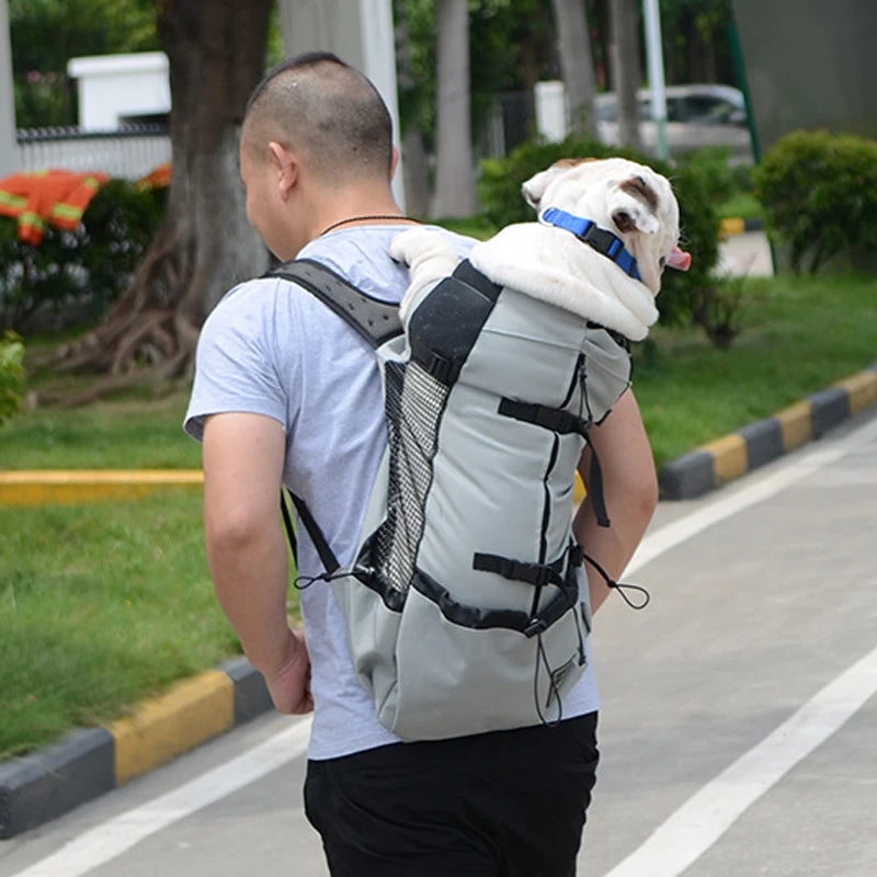 Eco-Friendly Breathable Large Dogs Adjustable Travel Backpack Pet Carrier