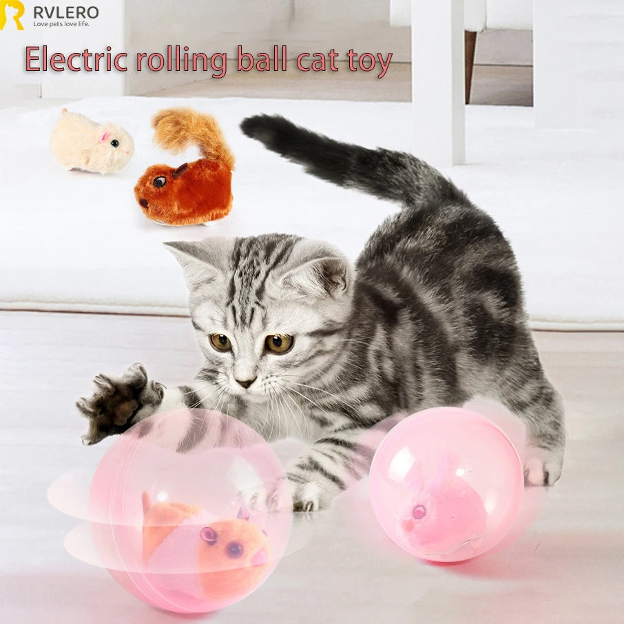 electronic cat toys