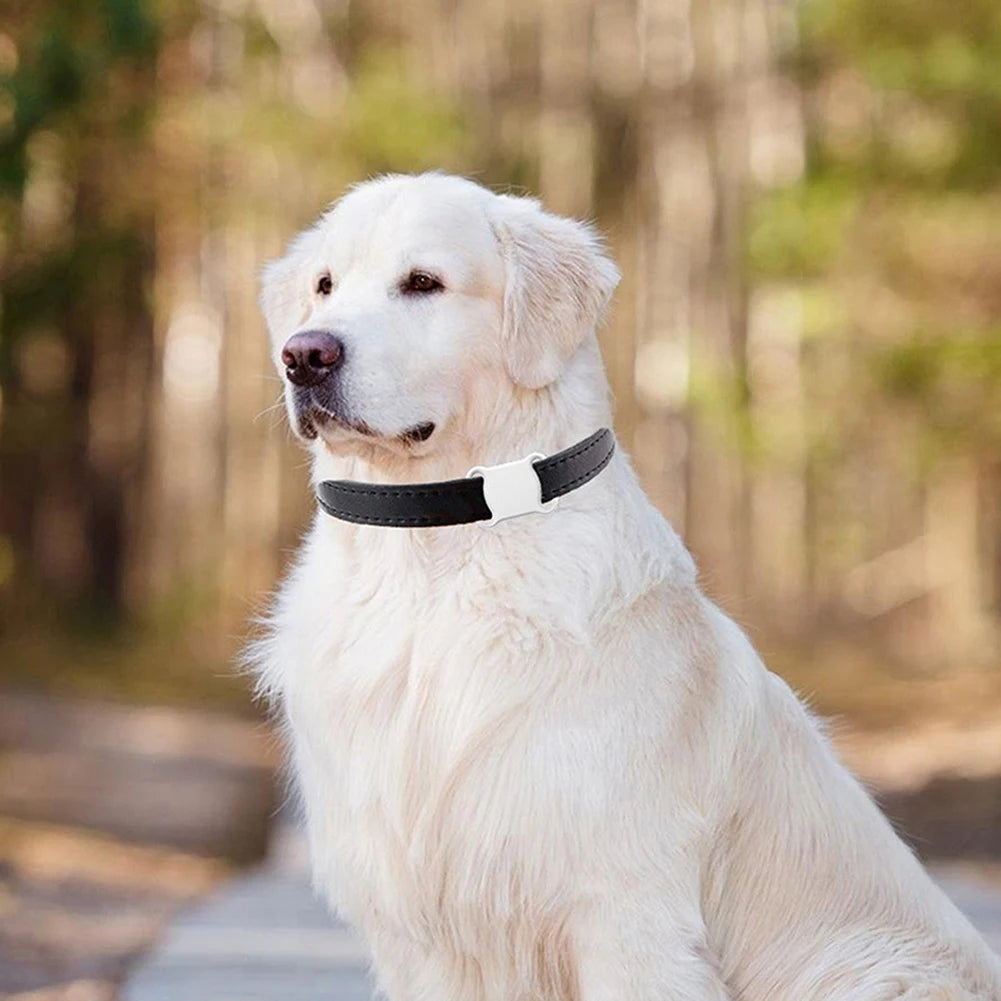 Miljøvenlig Mini Anti Lost Bluetooth Locator Sporingshalsbånd med LED-lys Pet GPS