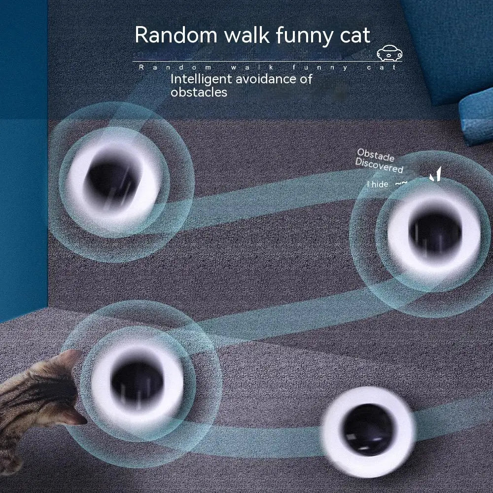 cat toys interactive