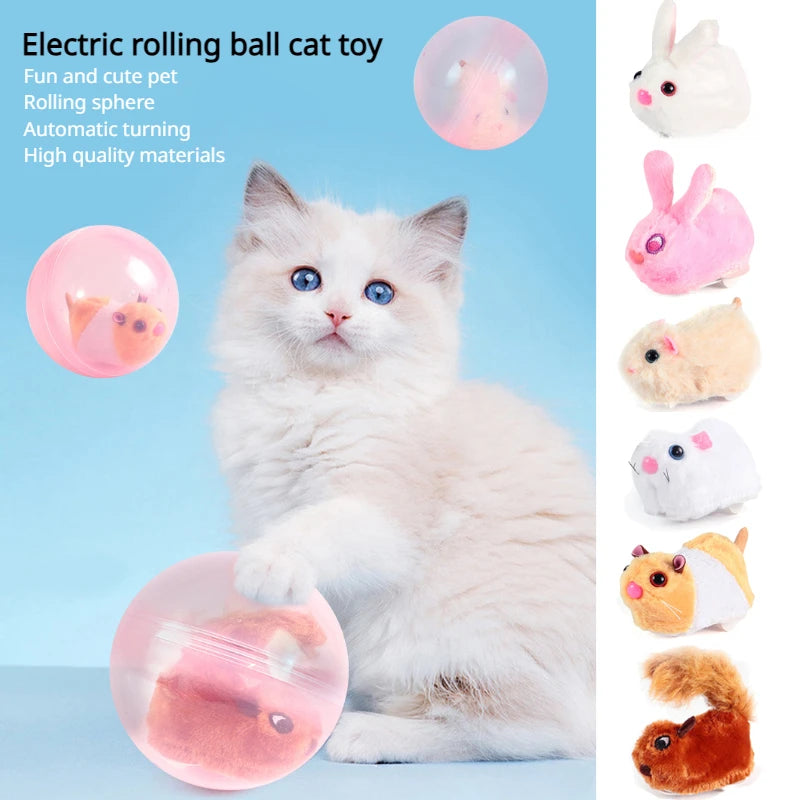 electronic cat toys