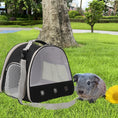 Load image into Gallery viewer, Eco-Friendly Portable Clear Transport Cage Reptile Travel Bag Small Pet Carrier
