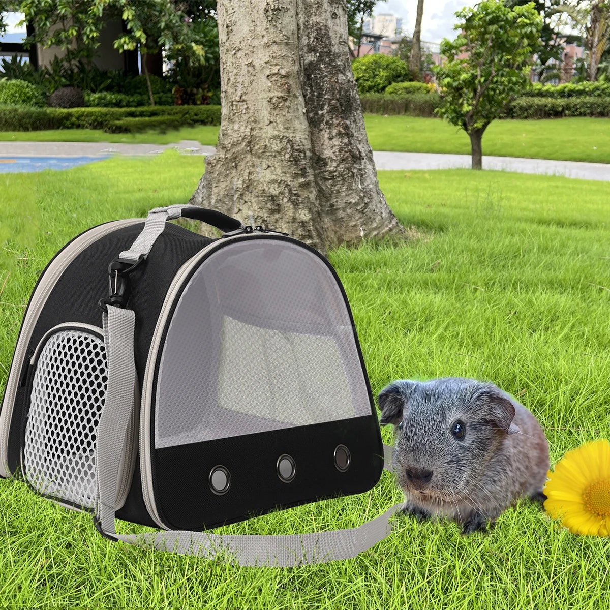 Eco-Friendly Portable Clear Transport Cage Reptile Travel Bag Small Pet Carrier