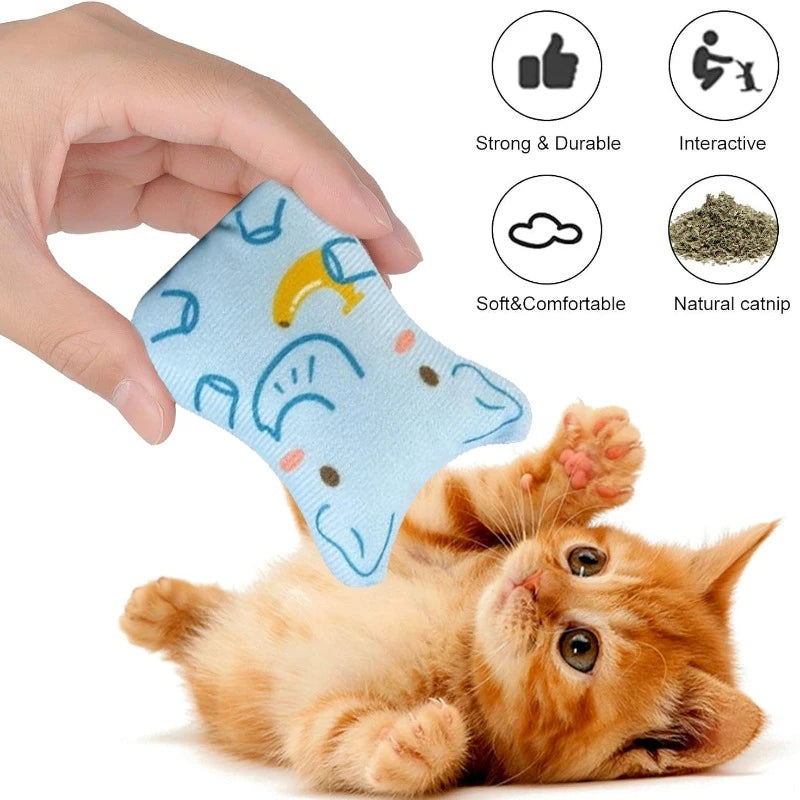 Teething Chewing Self Hi Pet Toy 