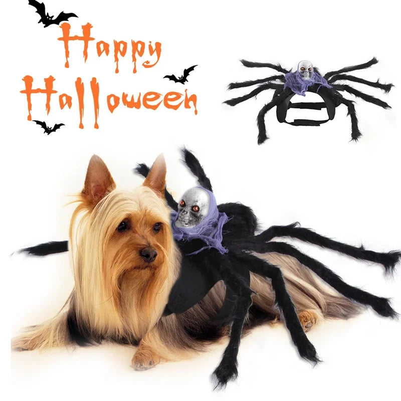 Head Spider Cosplay Costume for Pets