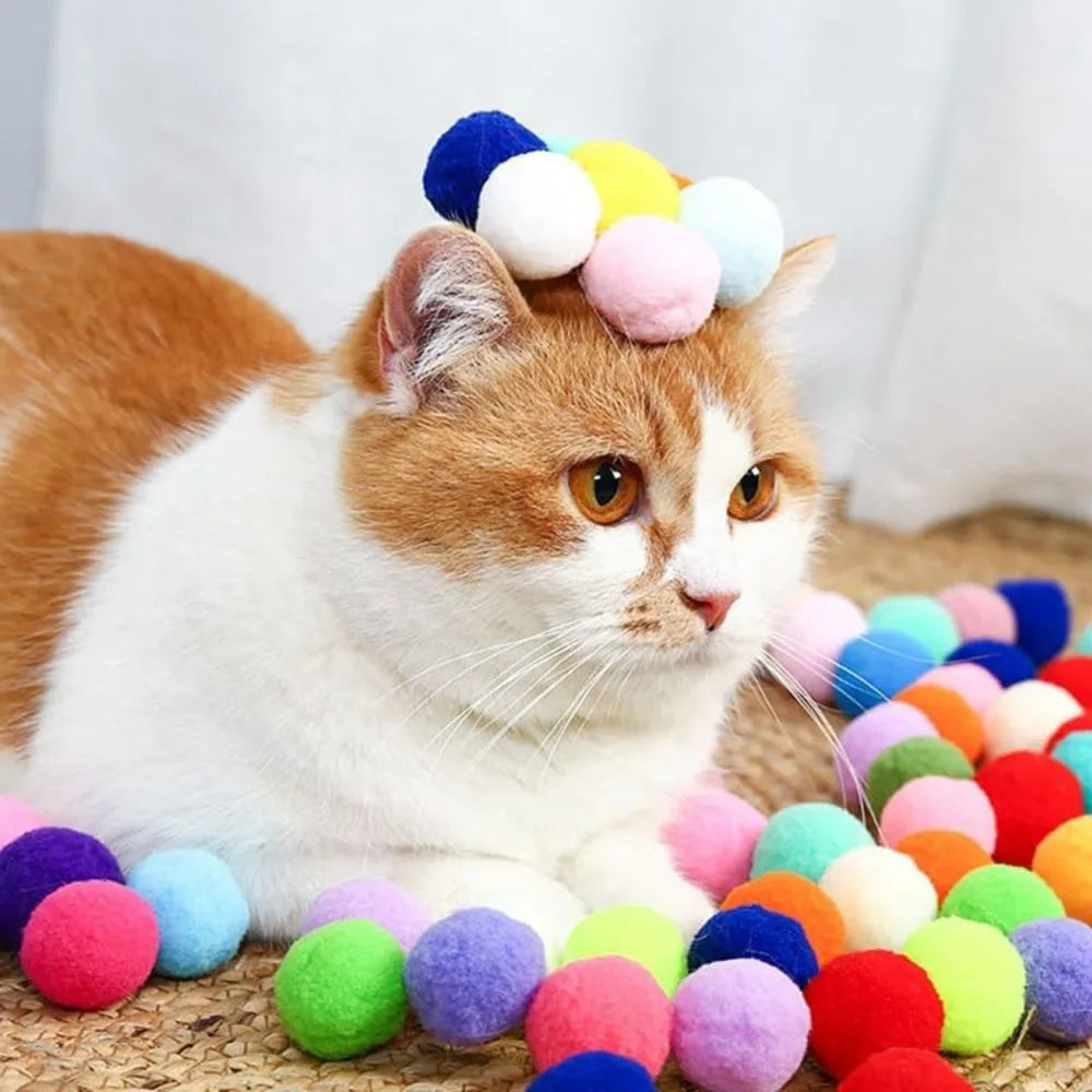 Cat Toys