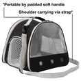 Load image into Gallery viewer, Eco-Friendly Portable Clear Transport Cage Reptile Travel Bag Small Pet Carrier
