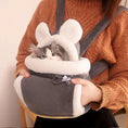 Load image into Gallery viewer, Eco-Friendly Outdoor Travel Winter Warm Carrying Bag Small Pet Carrier
