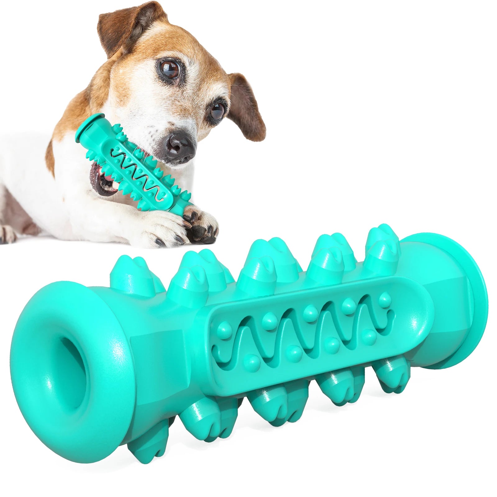 Dogs Chewing Toy