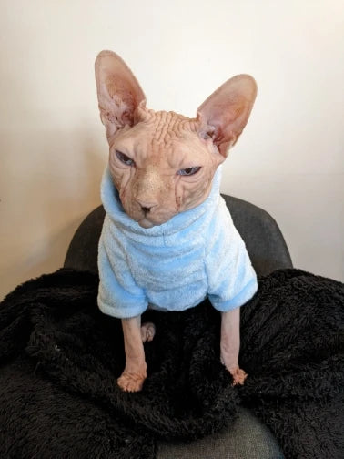 Miljøvenlig mode kattetrøje Sphynx Kitten Hoodie Jumpsuit Pet Beklædning