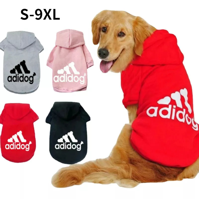 dog winter clothes