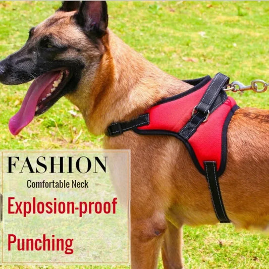 Eco-Friendly Durable Reflective Adjustable Dog Pet Harness