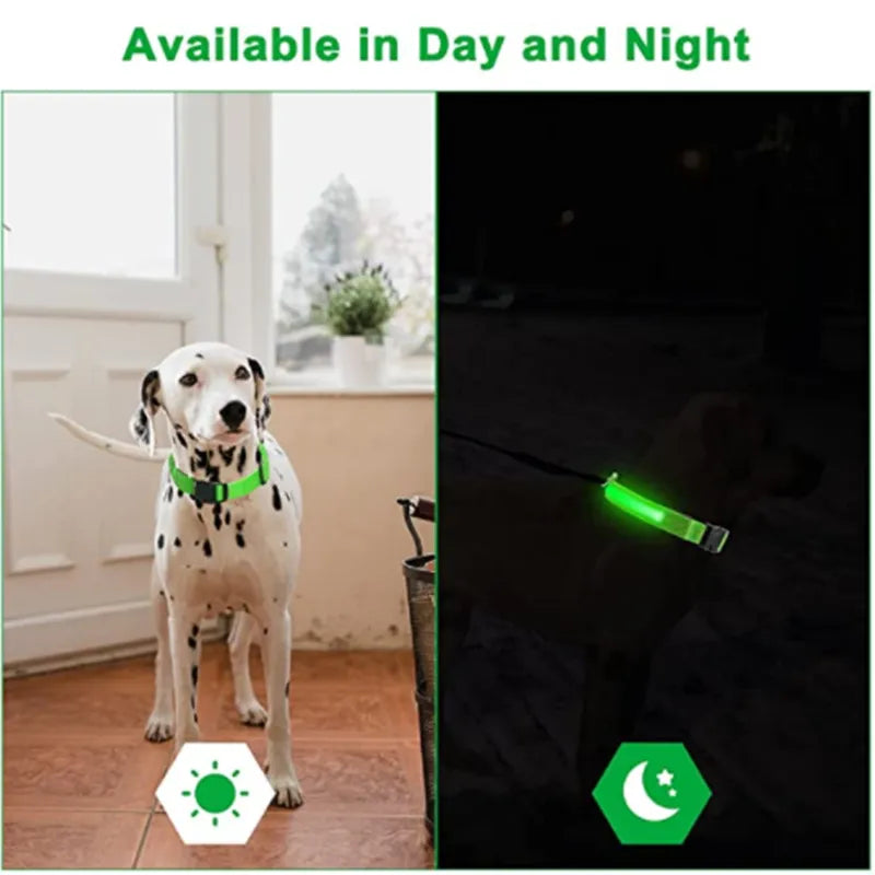 Flashing Rechargeable Luminous Collar