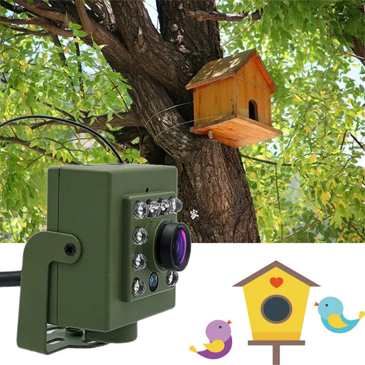 Eco-Friendly Green Wi-Fi Bird Box Camera 1920P 1080P IR Cut Night Vision RTSP FTP Mini IP IPC Pet Nest Bird Watching Pet Camera