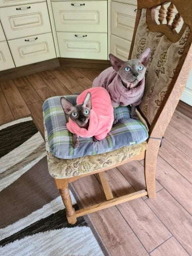 Miljøvenlig mode kattetrøje Sphynx Kitten Hoodie Jumpsuit Pet Beklædning