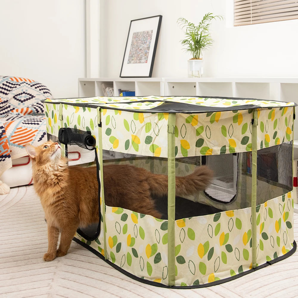 New Indoor Folding Tent Pet House