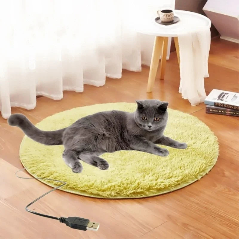 Cat On Mat