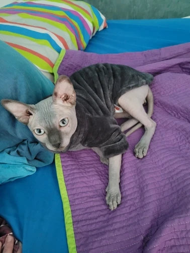 Miljøvenlig mode kattetrøje Sphynx Kitten Hoodie Jumpsuit Pet Beklædning