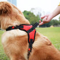 Indlæs billede i gallerifremviser, Reflective Adjustable Pet Harness
