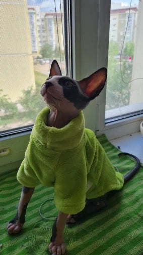 Miljøvenlig mode kattetrøje Sphynx Kitten Hoodie Jumpsuit Pet Beklædning