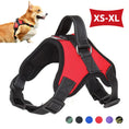 Indlæs billede i gallerifremviser, Adjustable Pet Harness
