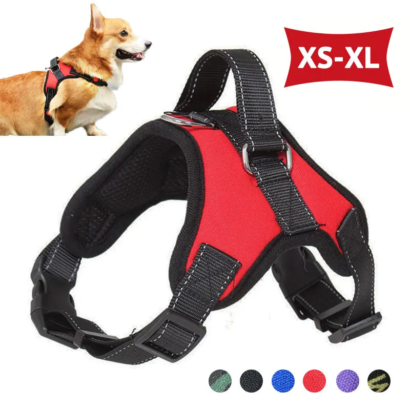 Adjustable Pet Harness