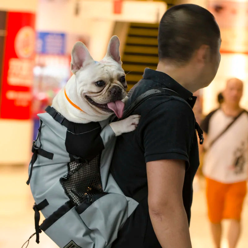 Eco-Friendly Breathable Large Dogs Adjustable Travel Backpack Pet Carrier