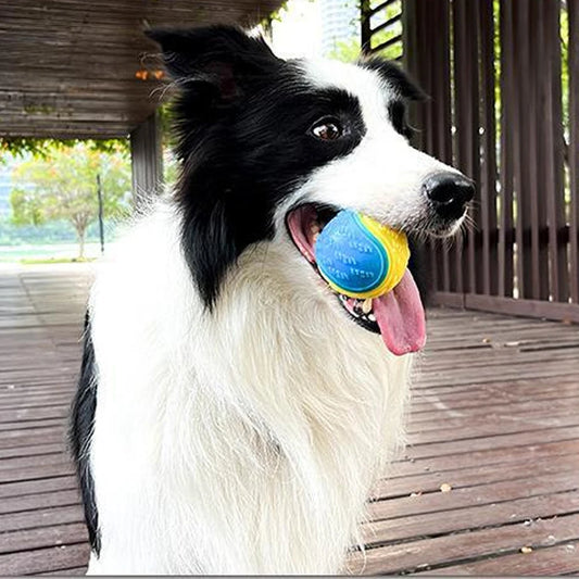 Bite-resistant Pet Dog Toy Rubber Ball