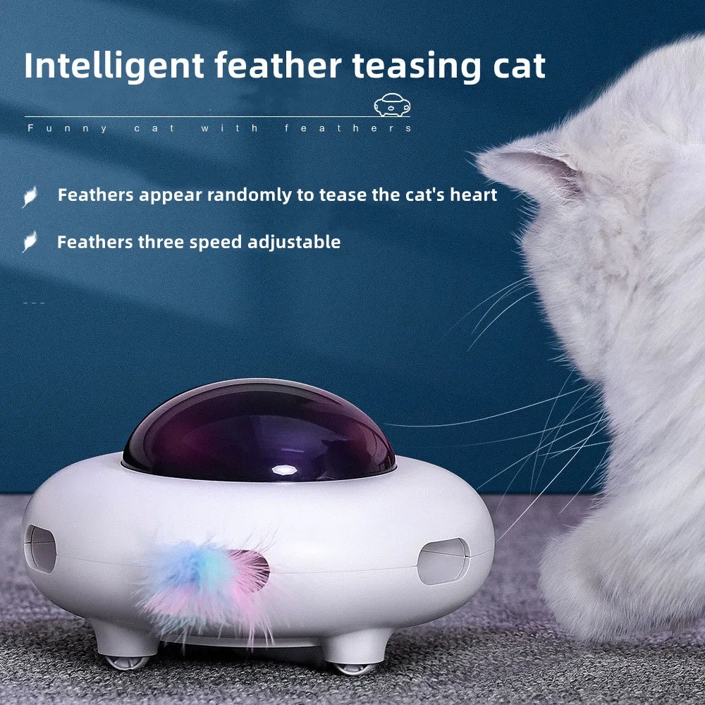 cat toys interactive