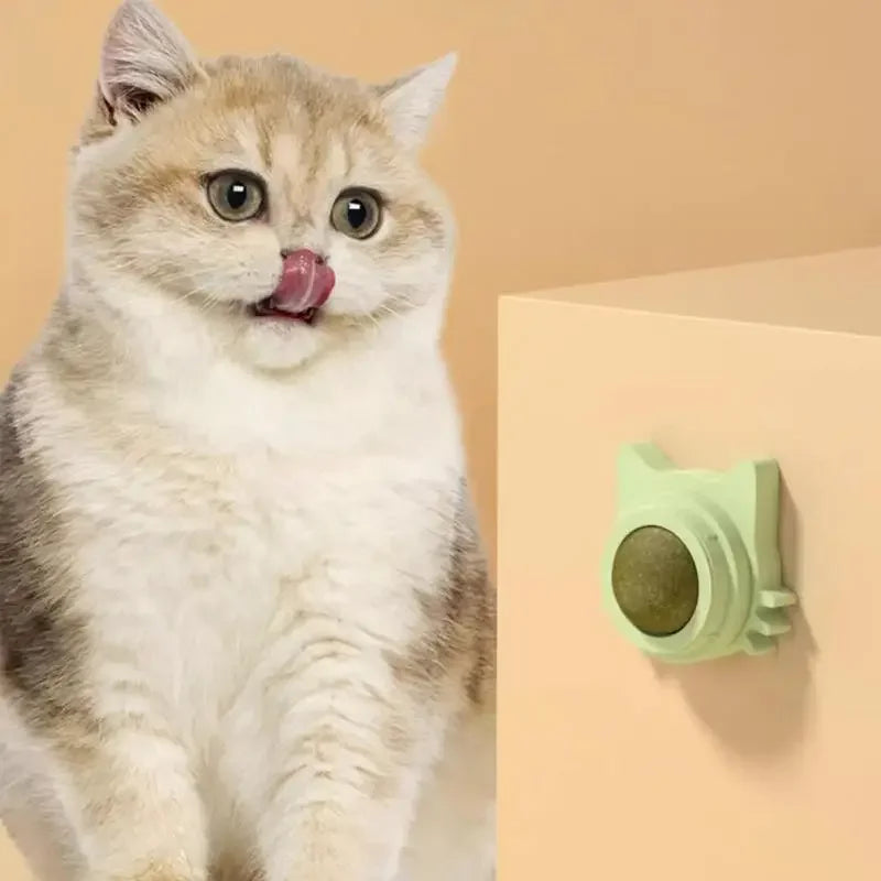 Kitten Teeth Toy