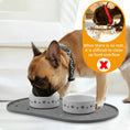 Load image into Gallery viewer, Eco-Friendly Simple Drinking Feed Easy to Clean Non-Slip Silicone Round Food Mat
