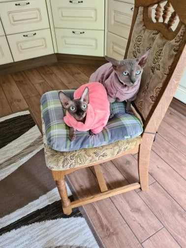 Miljøvenlig mode kattetrøje Sphynx Kitten Hoodie Jumpsuit Pet Beklædning