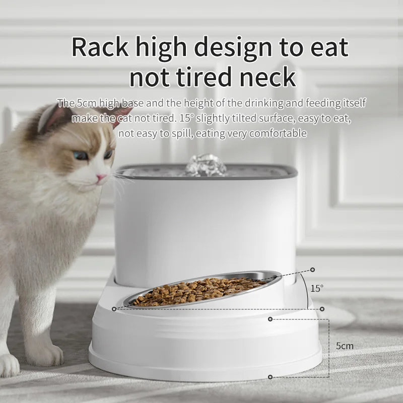 Best Eco-Friendly Automatic Pet Feeder