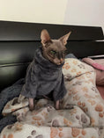 Indlæs billede i gallerifremviser, Miljøvenlig mode kattetrøje Sphynx Kitten Hoodie Jumpsuit Pet Beklædning
