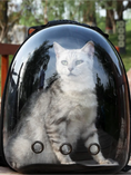 Load image into Gallery viewer, Eco-Friendly Comfort Portable Space Capsule Breathable Cat Bag
