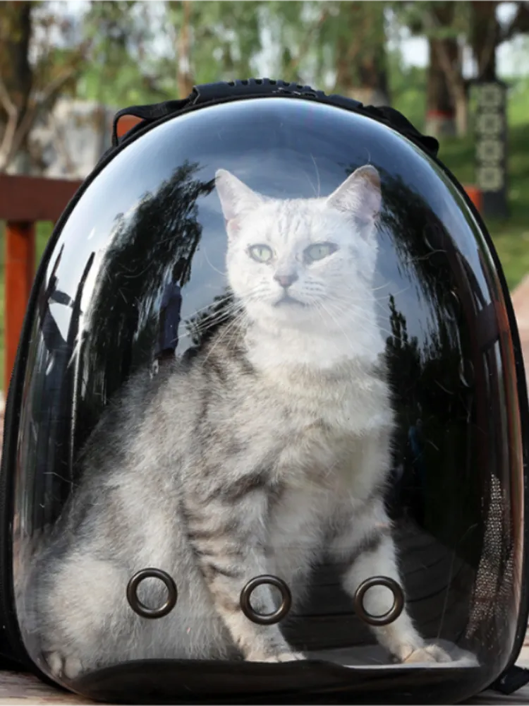 Eco-Friendly Comfort Portable Space Capsule Breathable Cat Bag