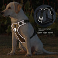 Indlæs billede i gallerifremviser, Night Safety Vest Harness
